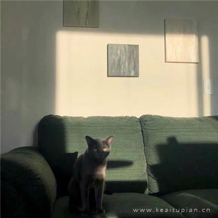 调侃生活的搞笑句子|生活一句话