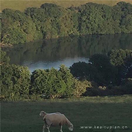 沈阳纪行（组诗）