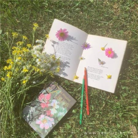 夏花丛中,浅思语