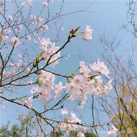 是爱人啊，不是提款机