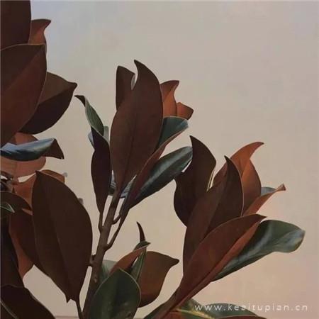 2019春分节气祝福简短微信问候大全