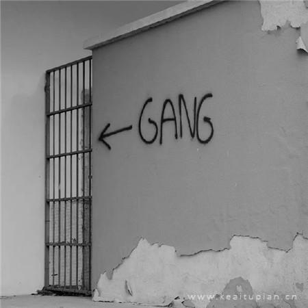 花信乱了方寸散文