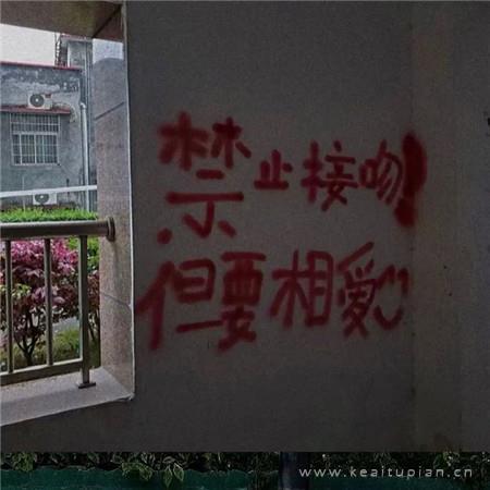 精选安妮宝贝经典语录165句