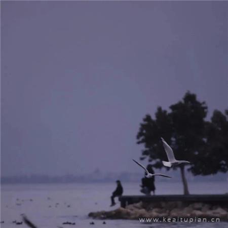 励志的人生感悟短句,感悟短句