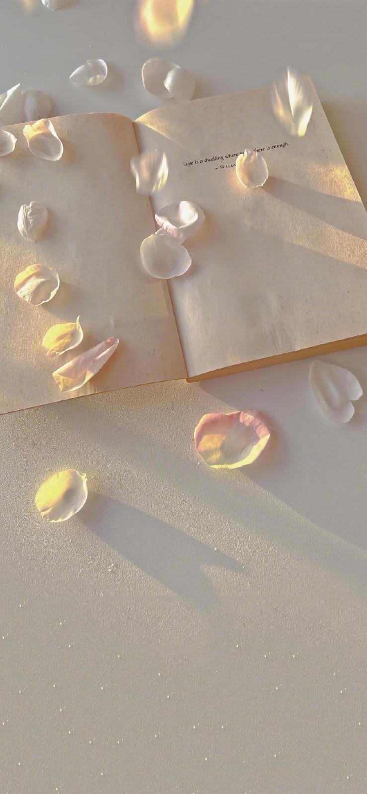 落叶是一曲无言的歌