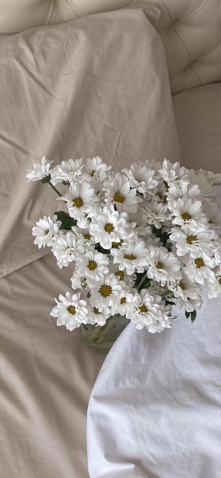 岁月如梭，韶光易逝