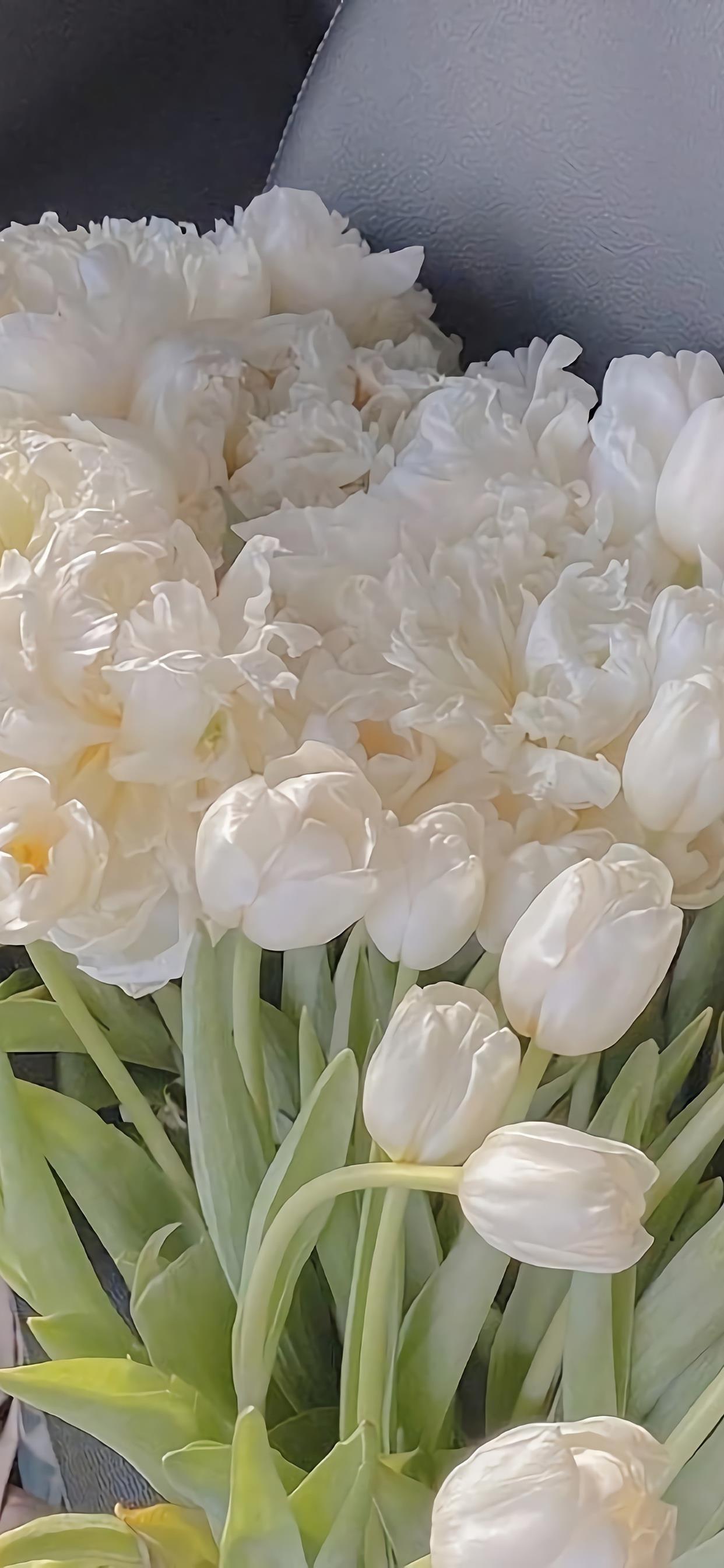 世上有两样东西不可直视 ，一是太阳 ，二是人心。