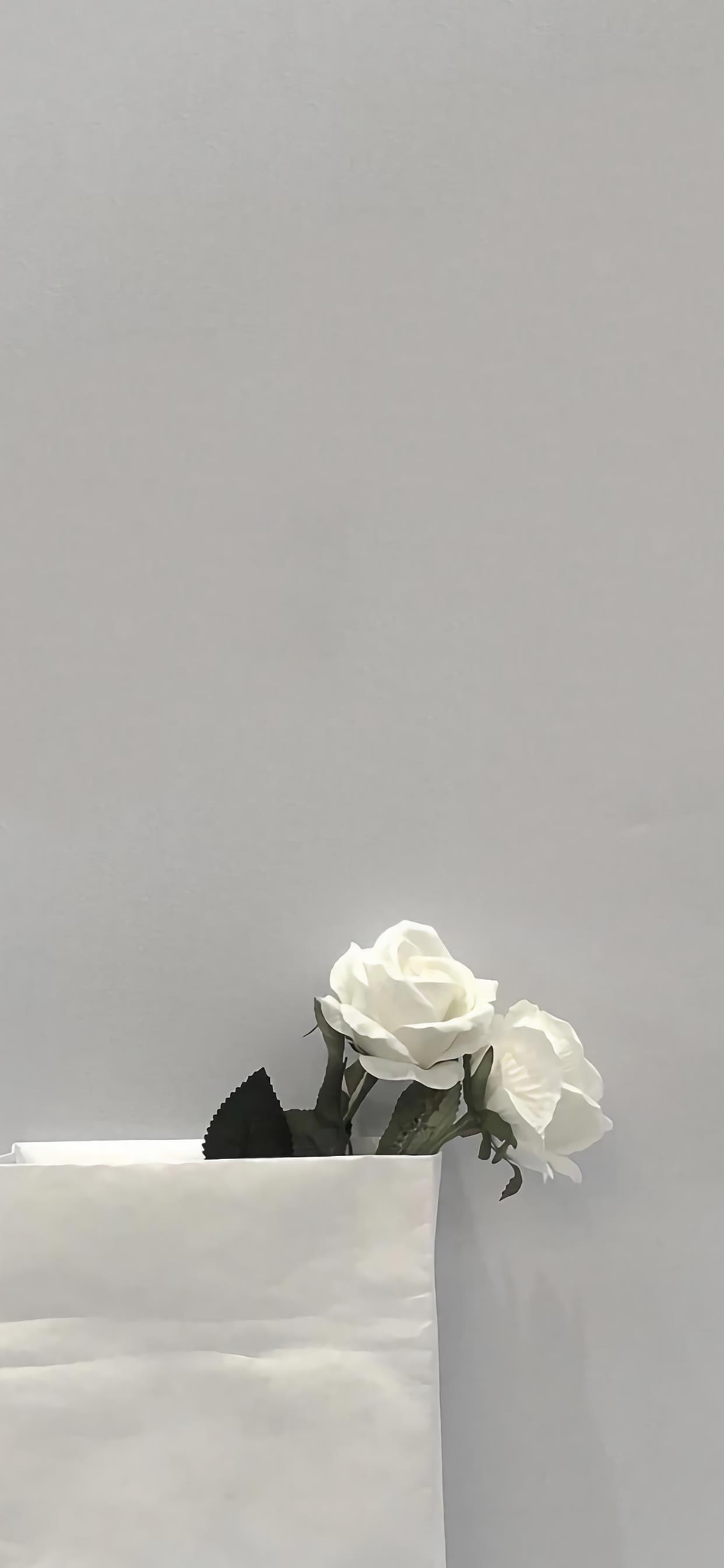 笑破你的肚子的整人的话，搞笑短句