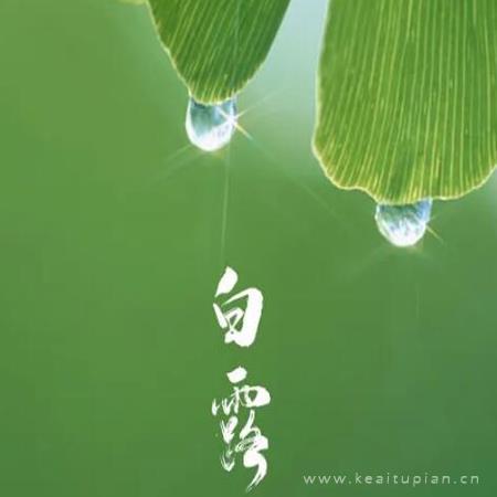 逆子和骗子（十五年的记忆）