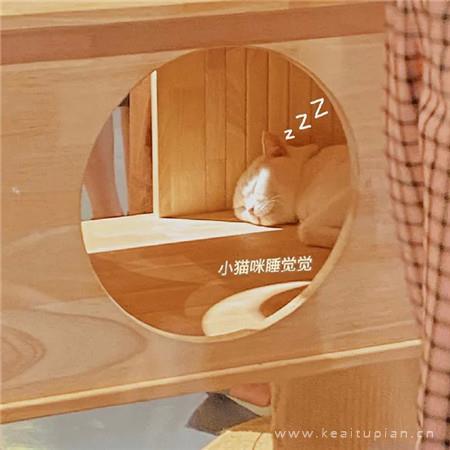 鲁迅经典语录大全