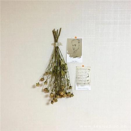 感觉自己越来越迟钝