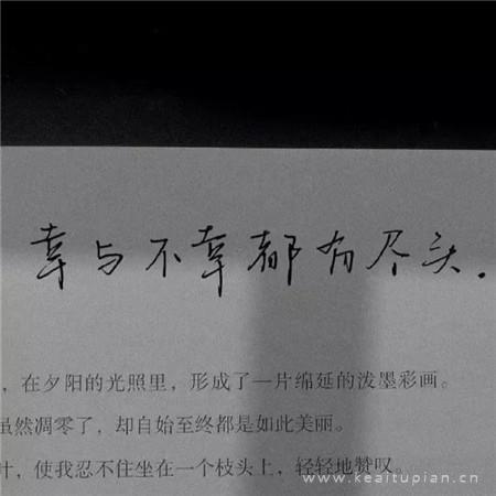 现实的爱情鸟