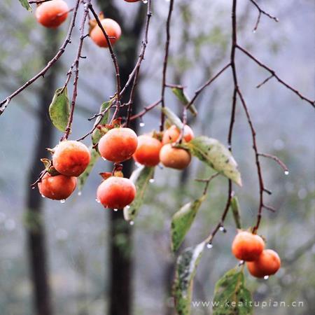 清风问明月，引来寻路人