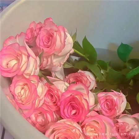 经典幽默最牛X的话语