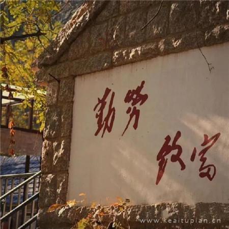 岳乡的秋天（组诗）