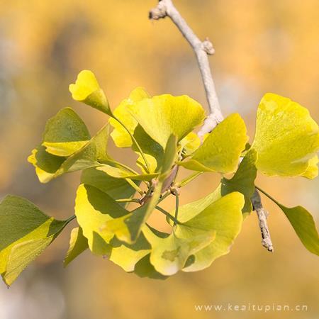 表达心情的情感语录100句：情感一句话