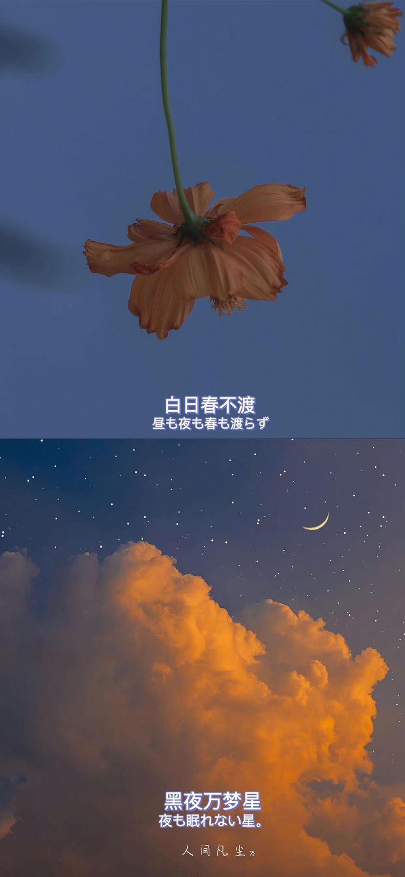 花儿。事儿。人儿