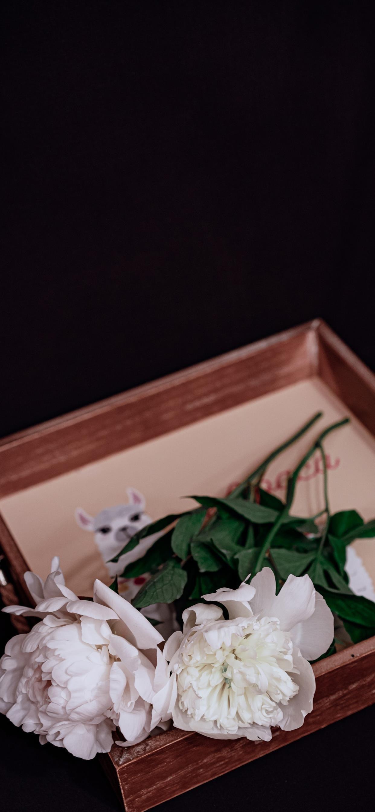 菜花地里面的女鬼