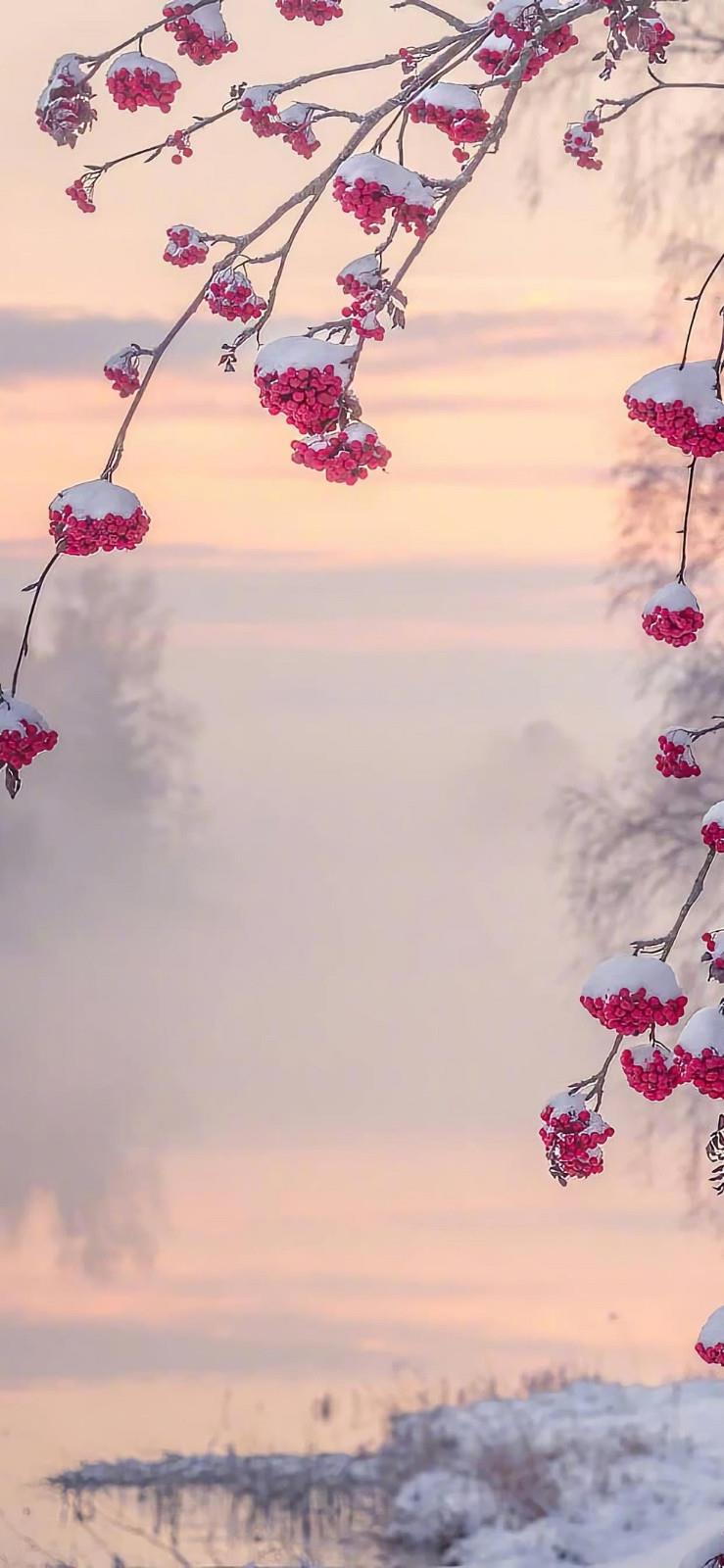 在恋爱的过程中，如何才能够赢得她的欢心