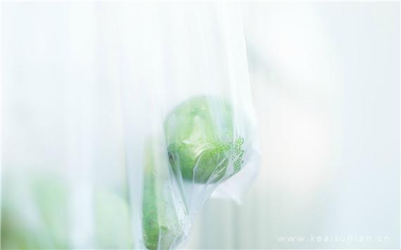 女人的幸福与什么有关