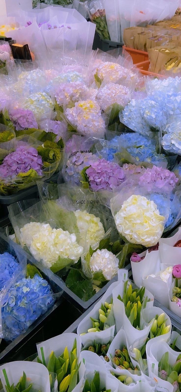 我的老师是鬼将