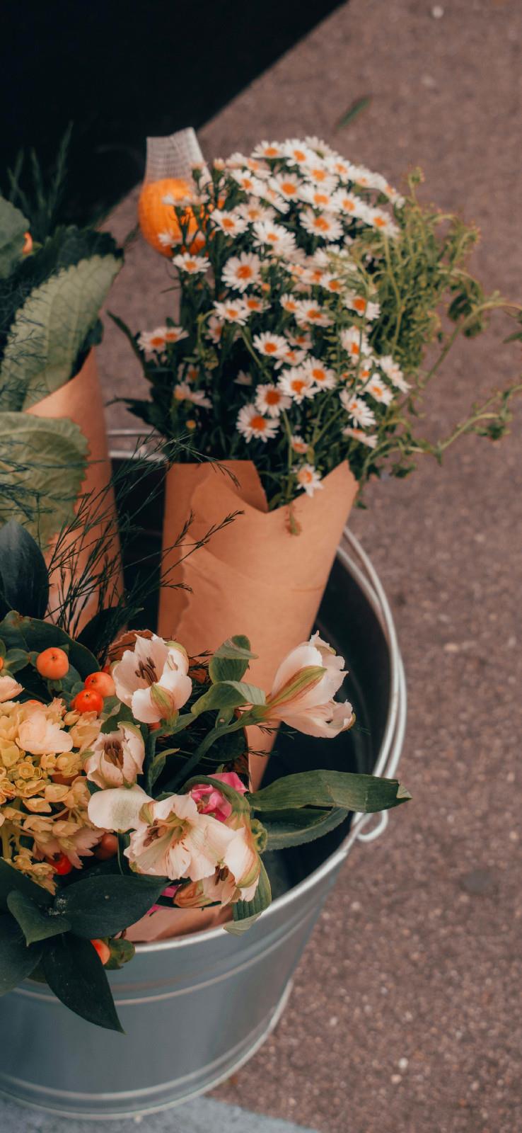 人生再美，怎如初见