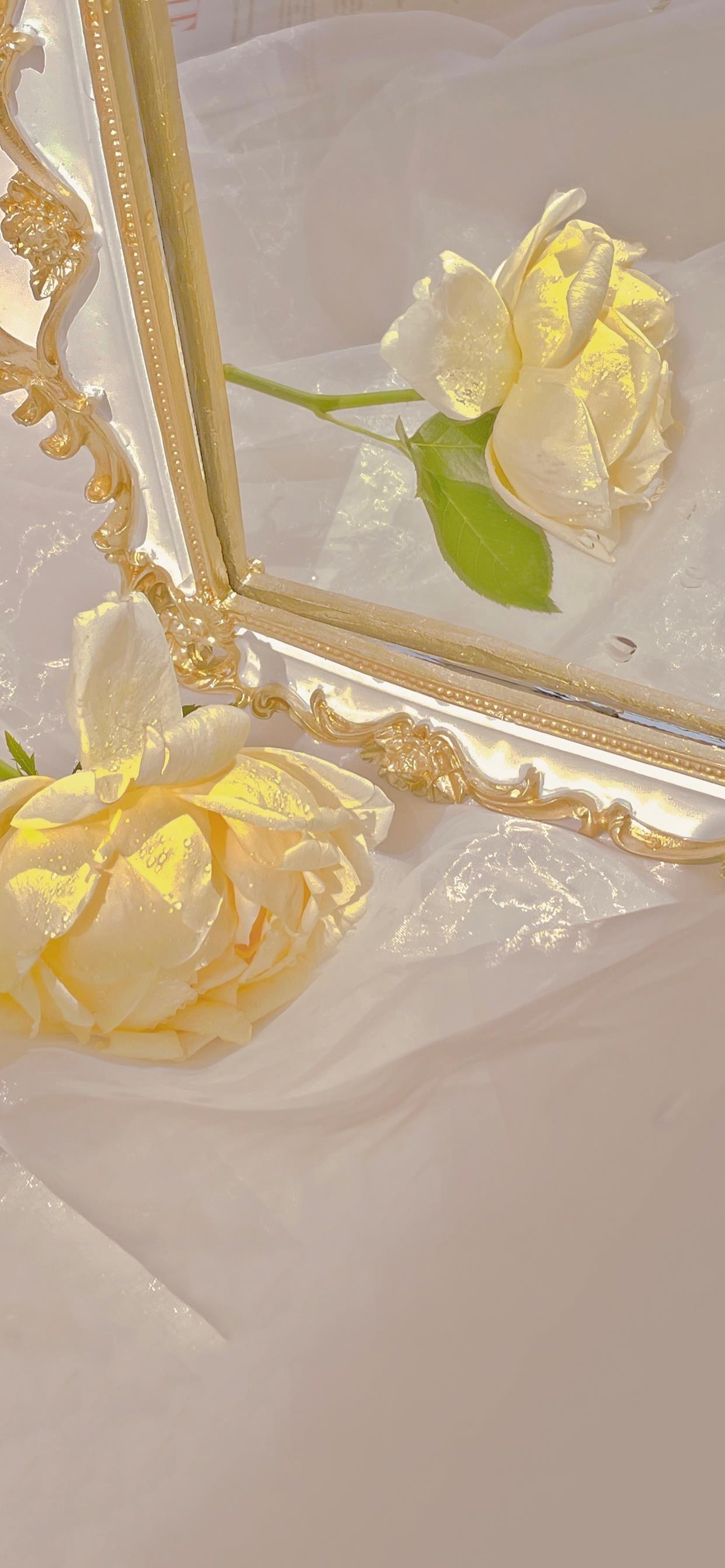 2011孟非的最新经典语录