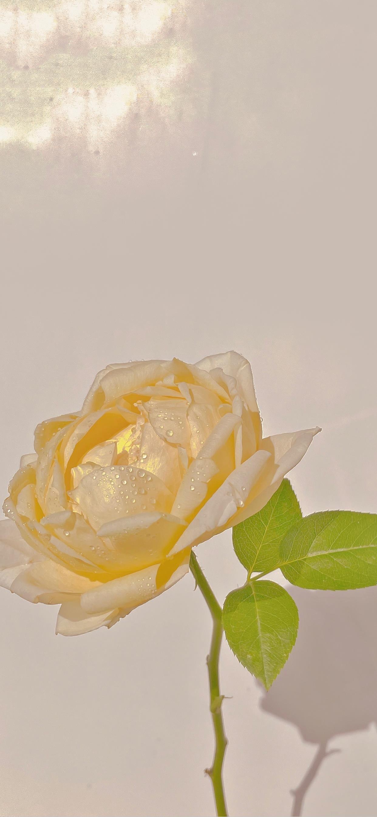 [英] 马特·海格【活下去的理由】- 抑郁症,情绪调节,心灵疗愈,心