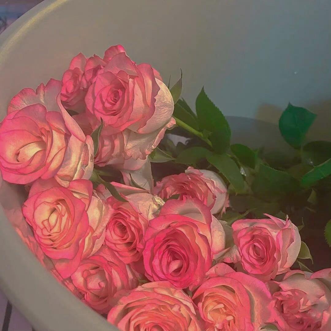 属于我和棒棒堂王子的恋爱