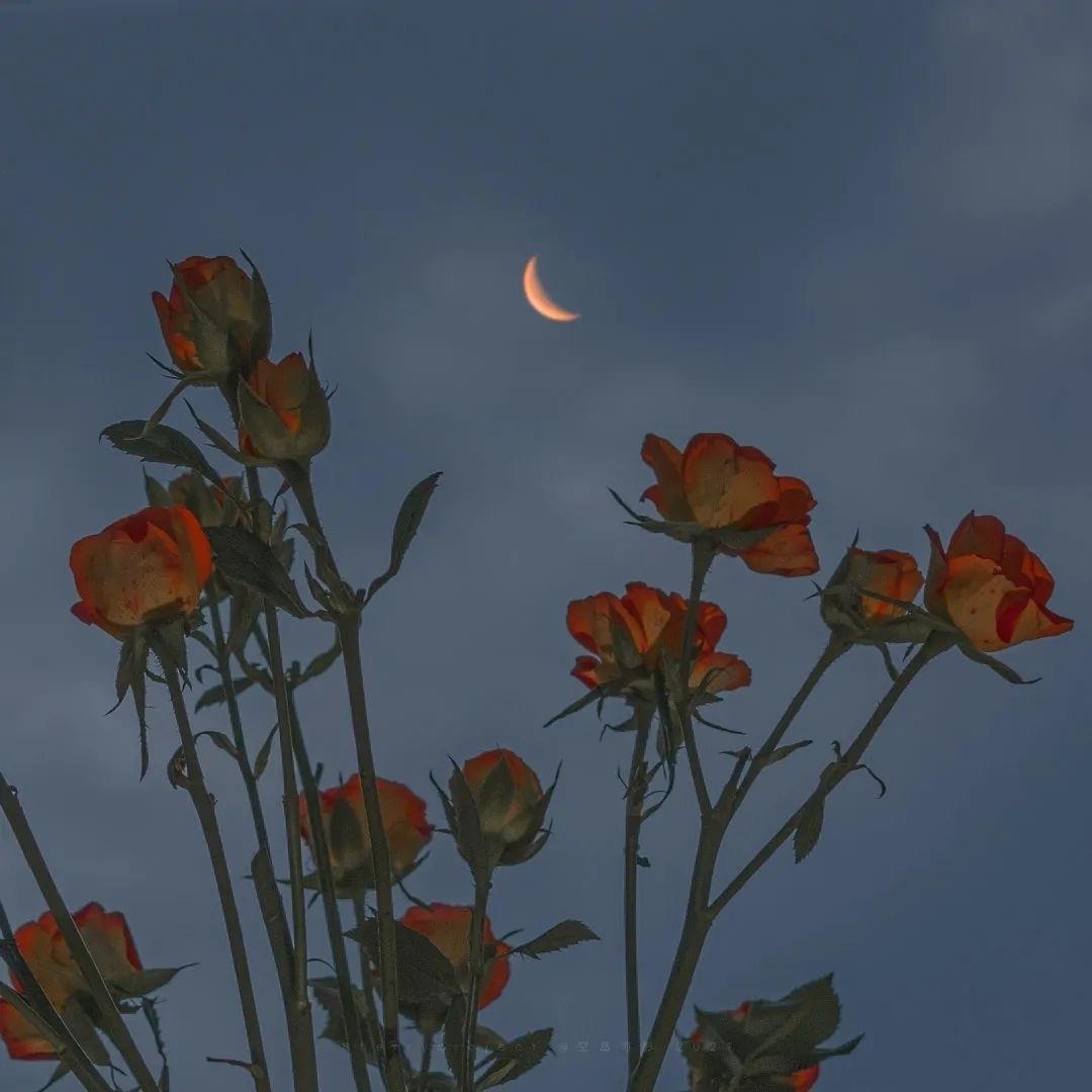 我不傻，只是不说而已