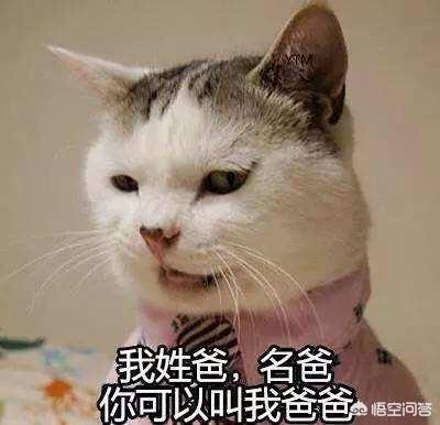 丈夫交易会
