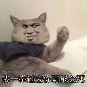 再婚之舟，载不动许多愁