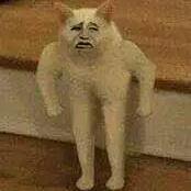 网络情人
