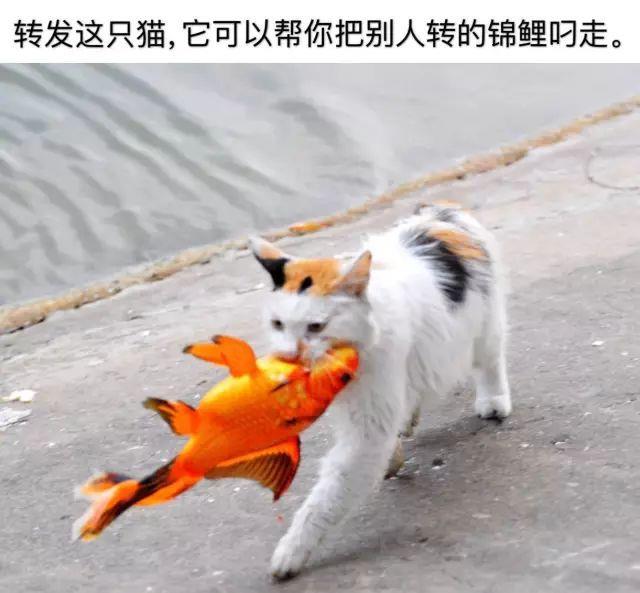 444号房间