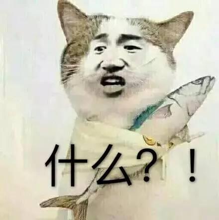 不做婚姻的“差评师”