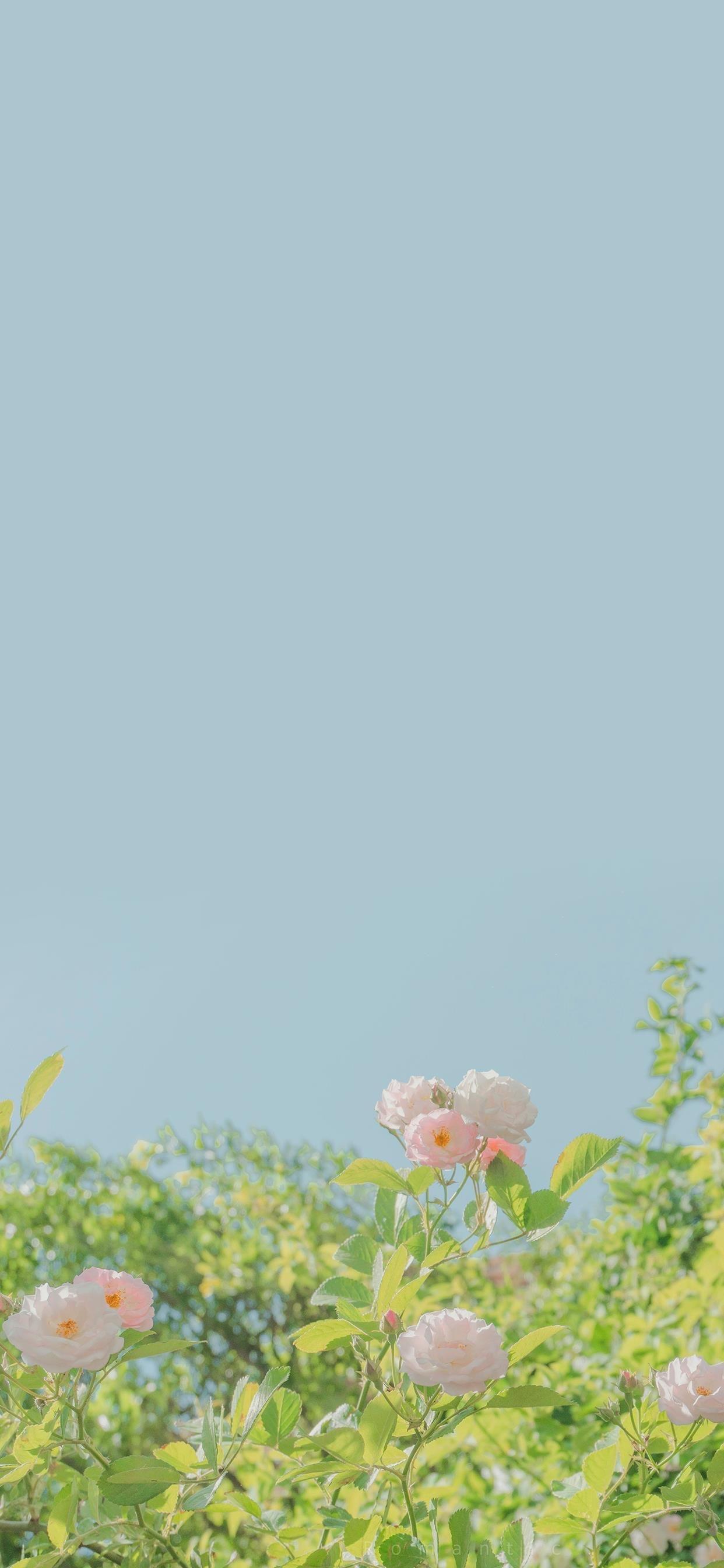 这5类女人再漂亮,男人也不敢娶!