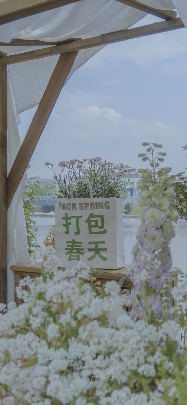 好久不见，曾经的模样