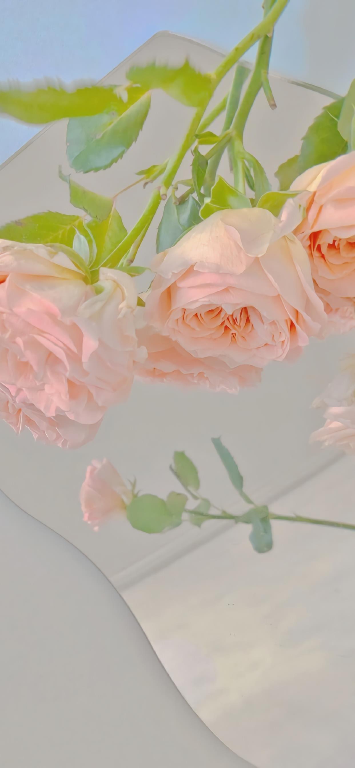 无法明白,无法哭泣,无法用我们自己的语言来表达