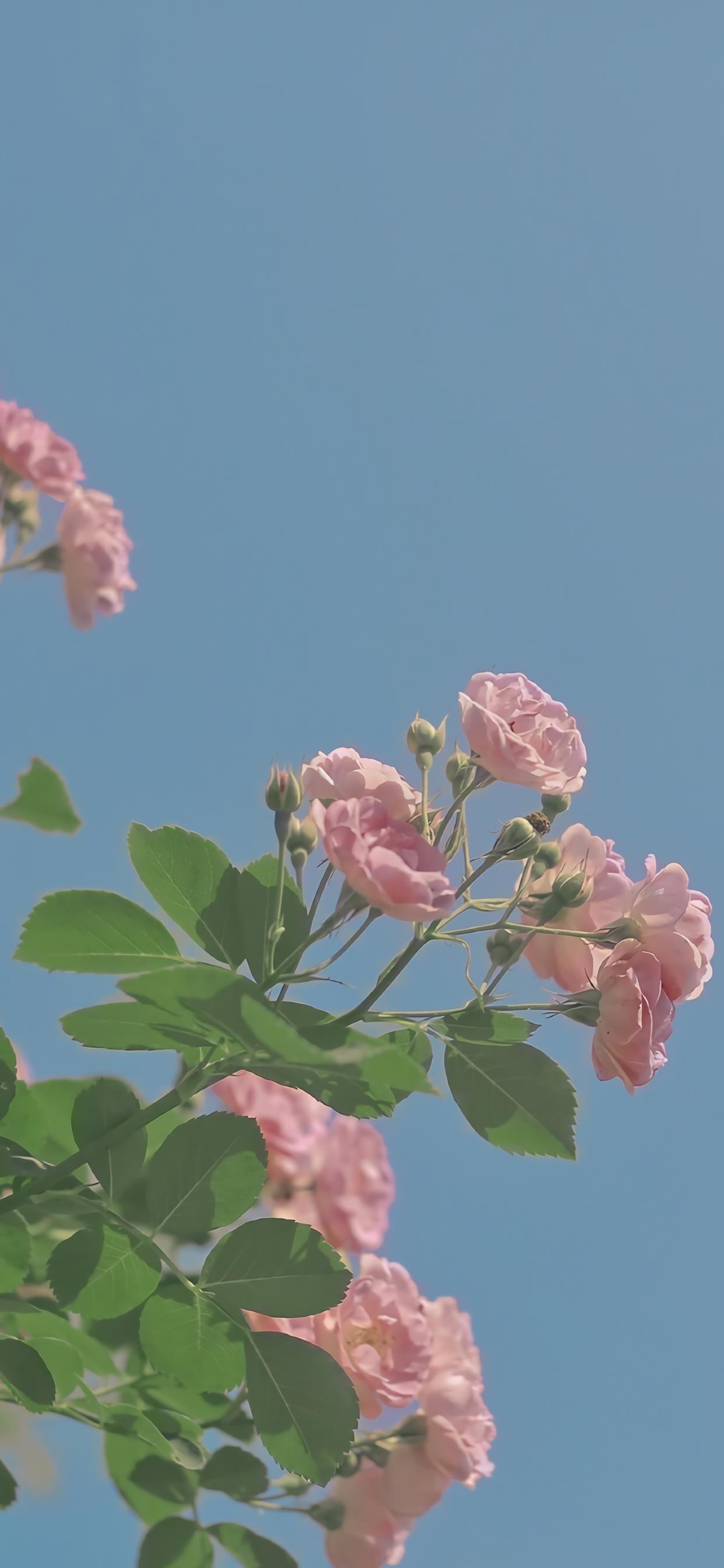 “贴娘家”，让爱情靠边站