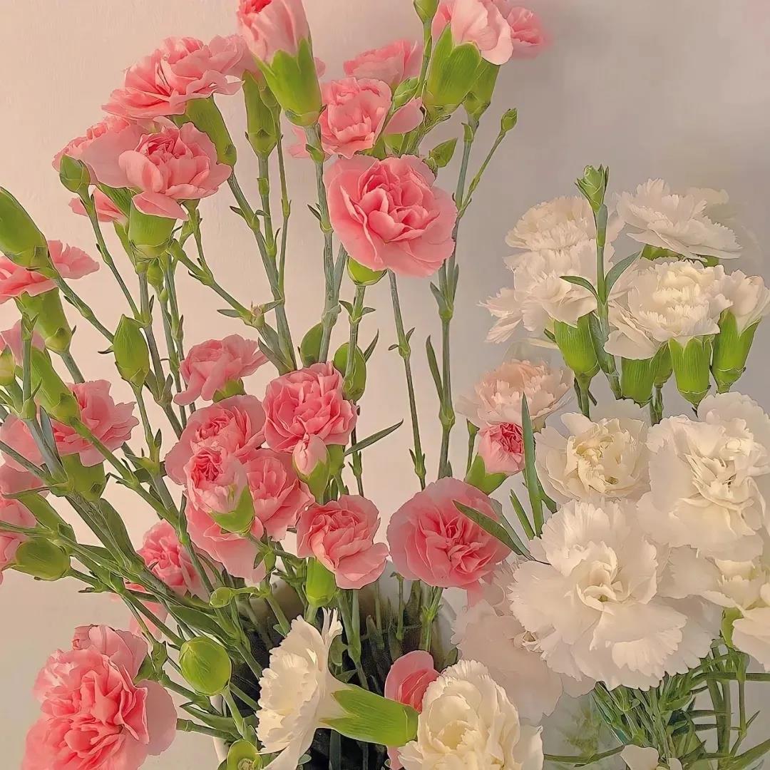 许愿瓶唯美好看图片_许愿瓶承载的唯美梦想