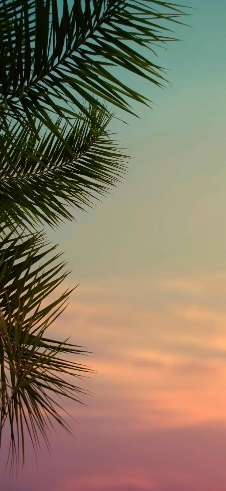 放下的只是对过往的纠结，而那些感动