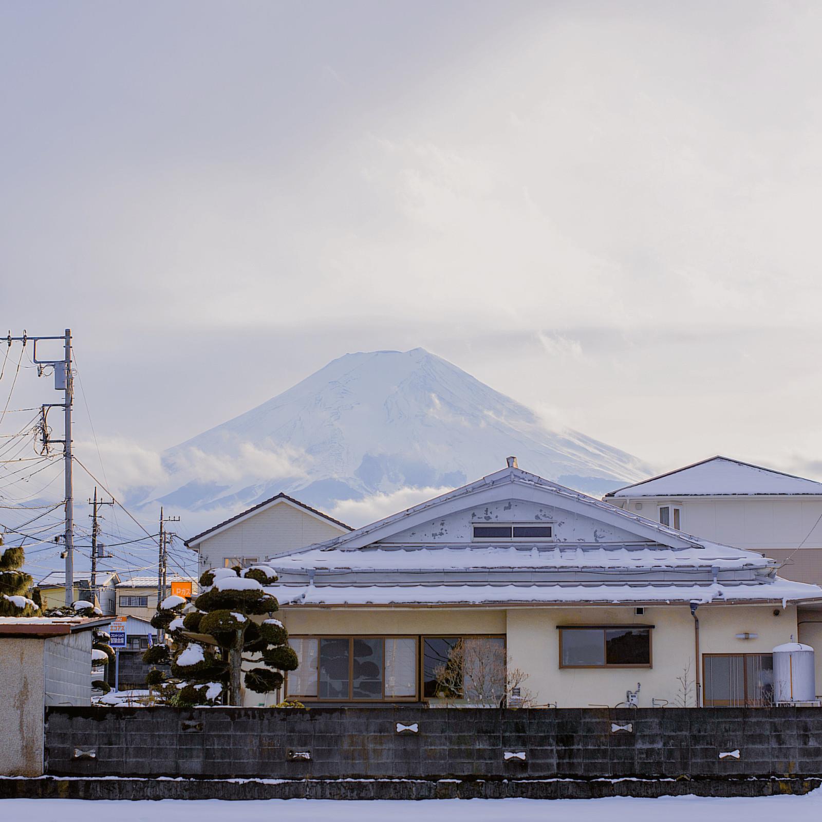 烟对肺不好，咖啡对胃不好，爱情对心脏不好。