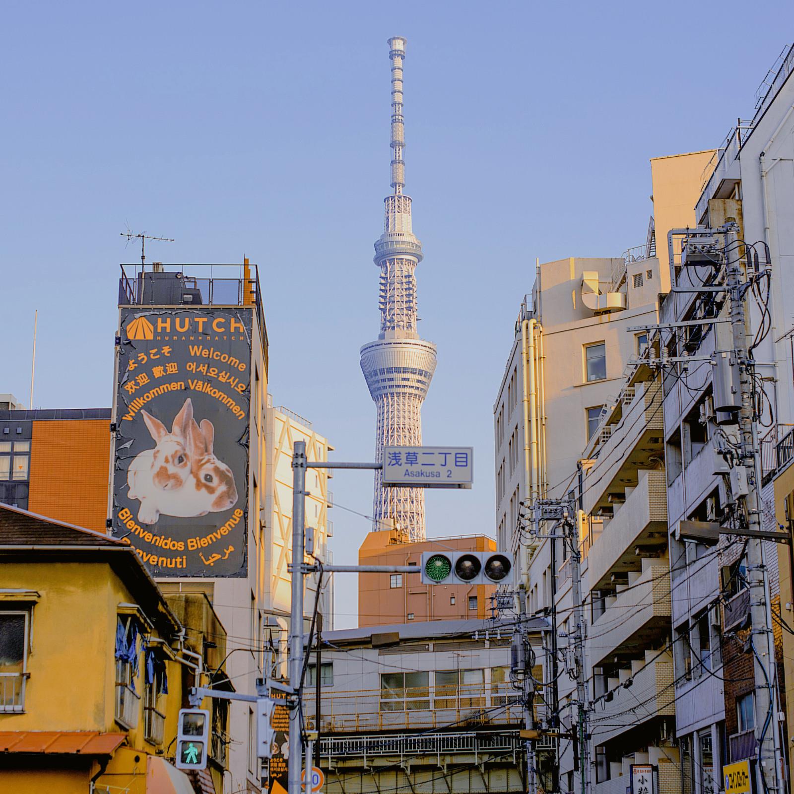 陪你走完这一段路,你也变成我路过的路。