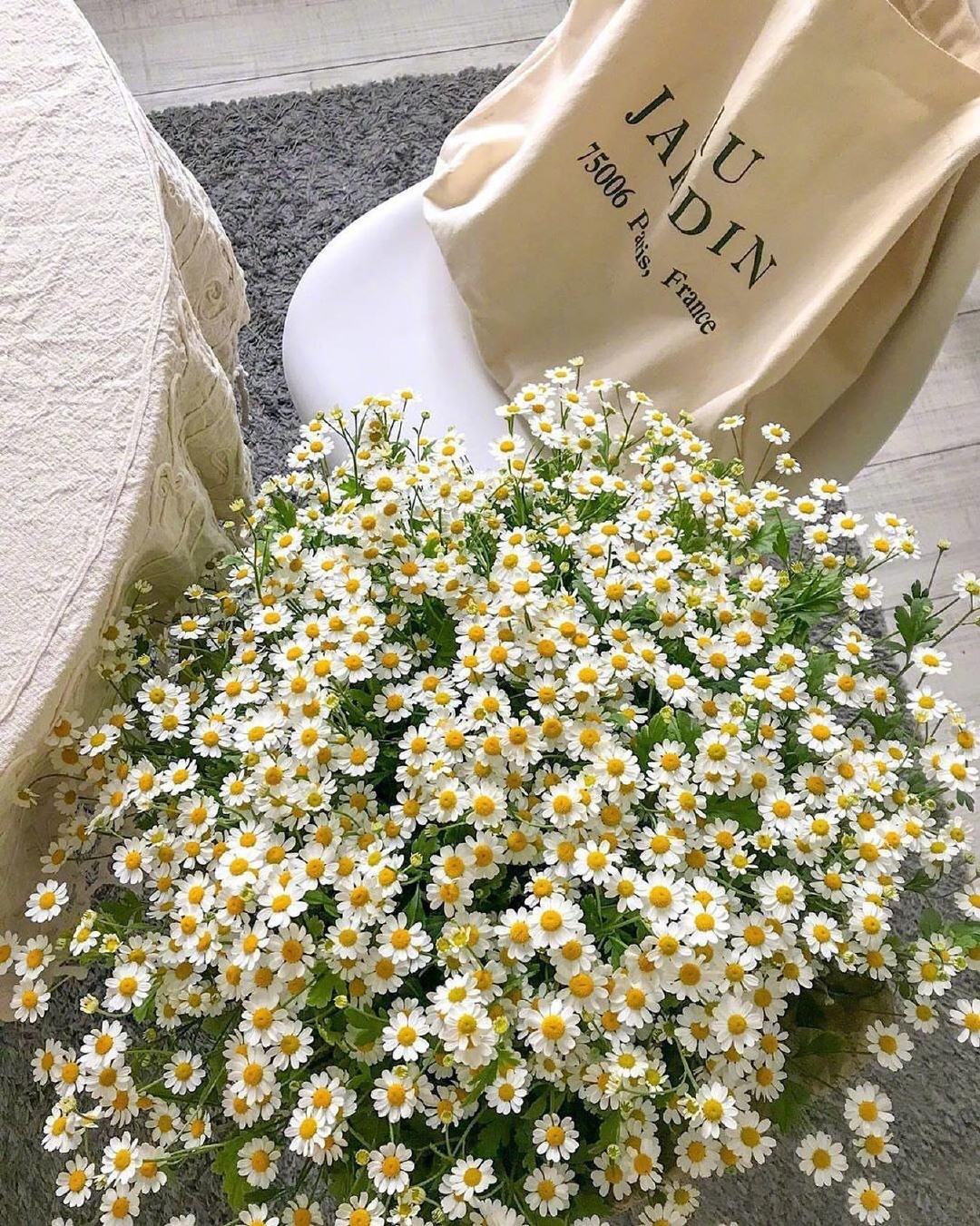 走在回家的路上