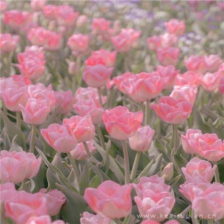 爱是一种成全的说说经典心酸情感语录短句大全