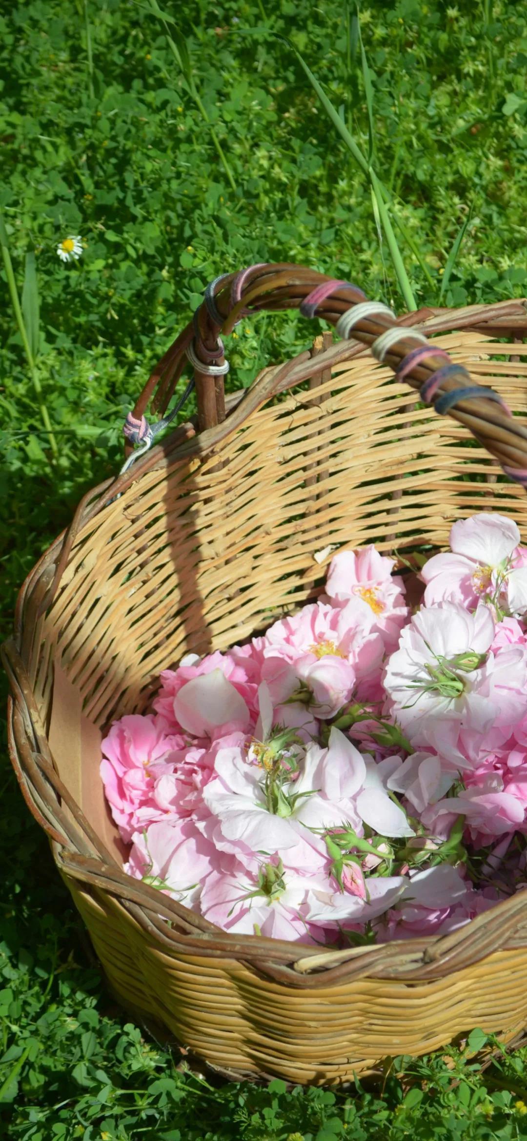 今天网上看到的几米语录分享给大家