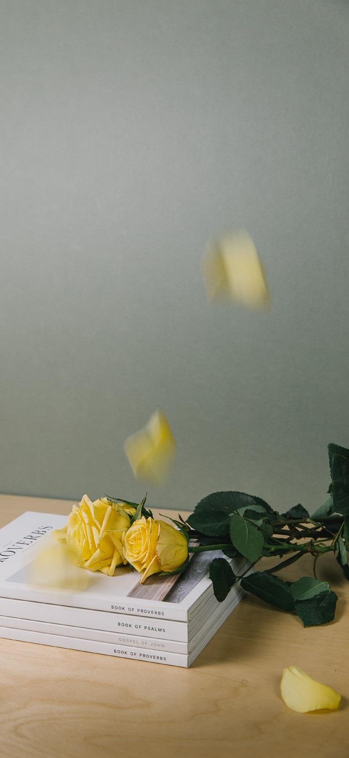 我在健身房被3p了 肥水不流外田第二十一部分