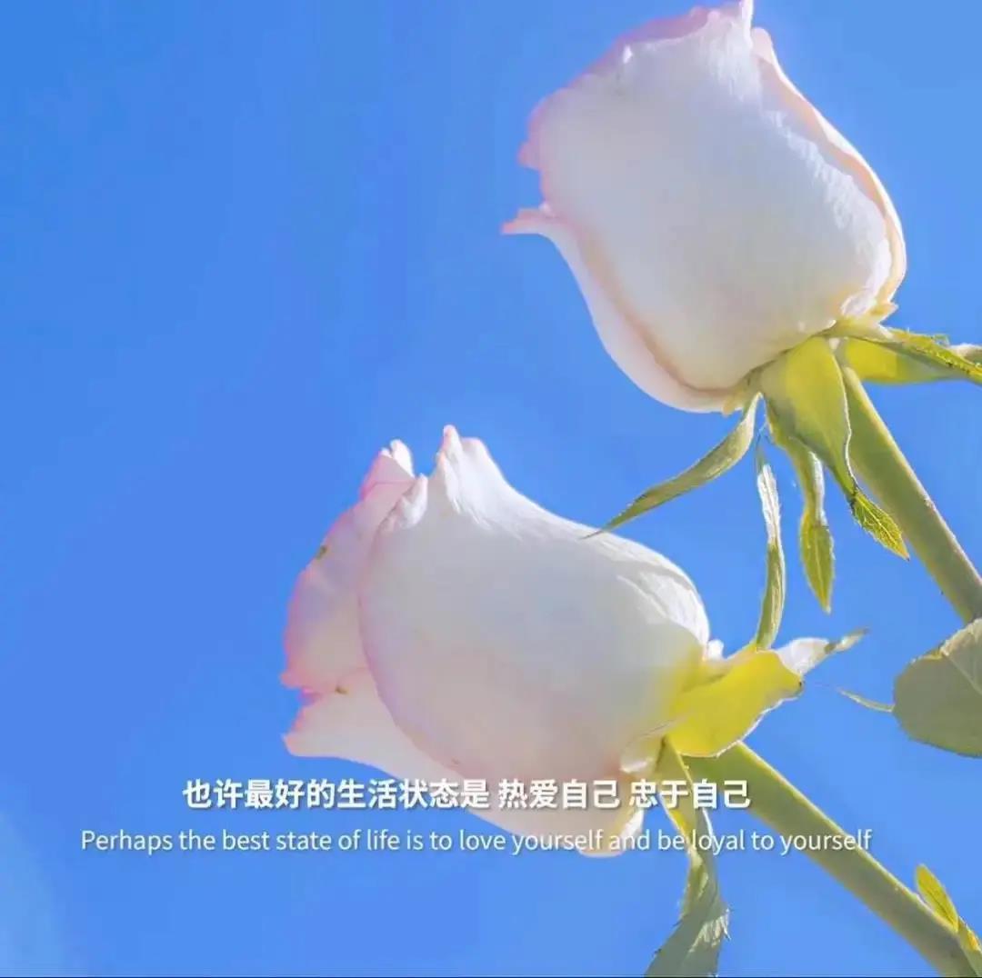 似此星辰非昨夜，为谁寒露立中宵