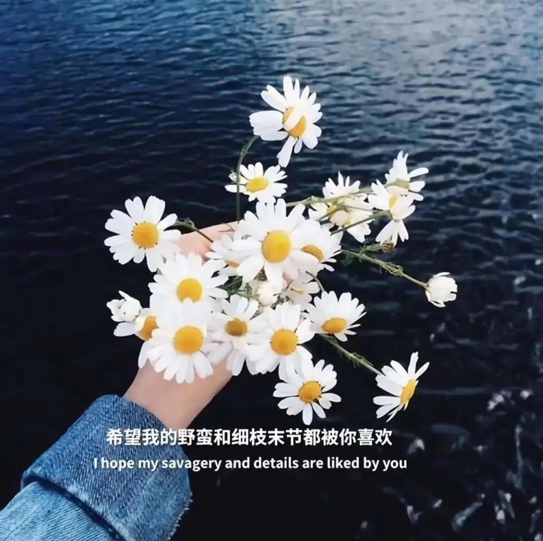红尘滚滚