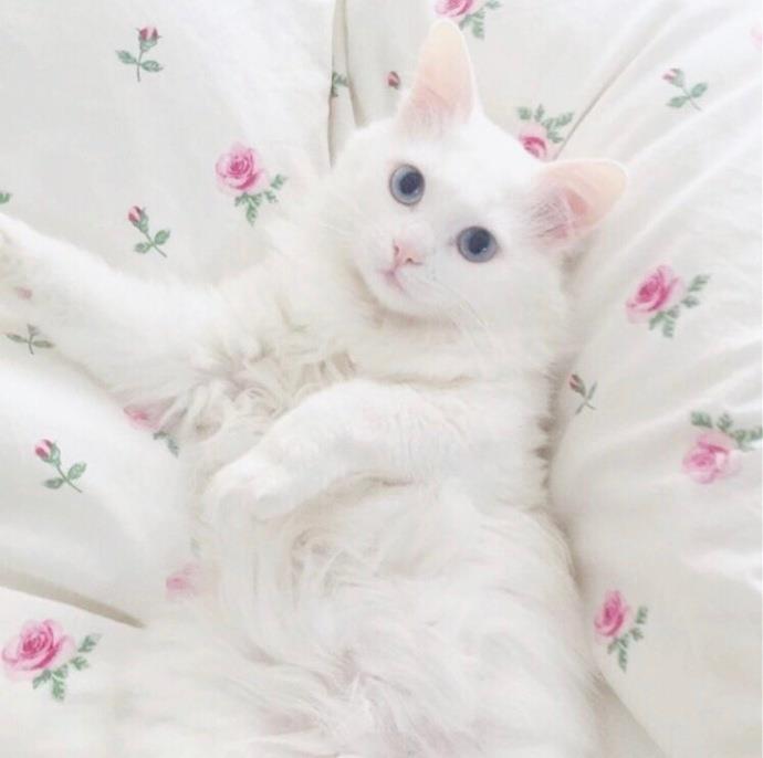 一句有哲理又搞笑的短句子❤哲理句子